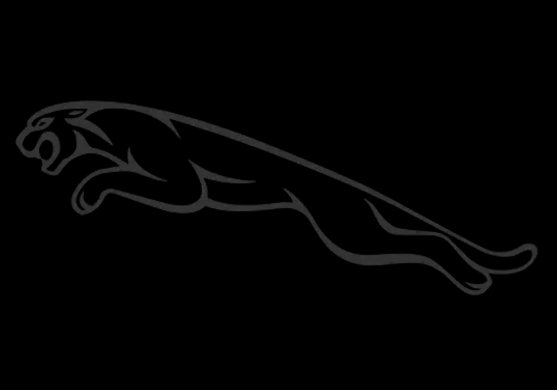 Jaguar brand logo