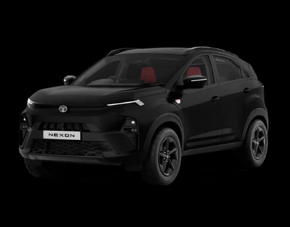 1.2P Fearless + PS Red DK