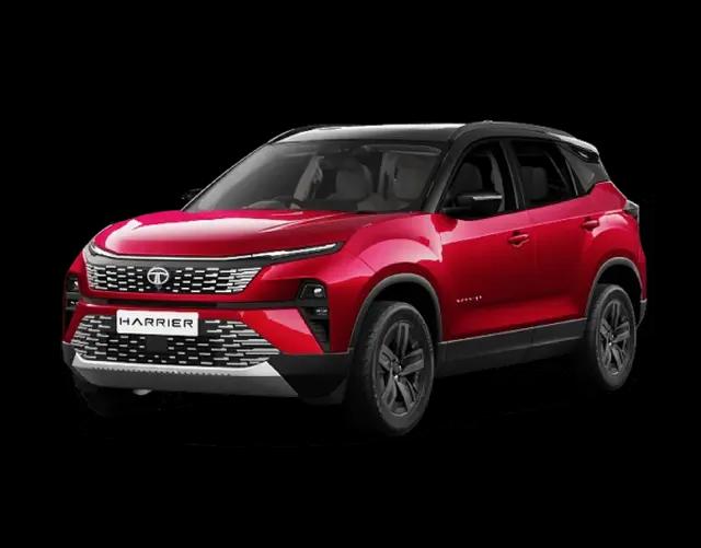 Fearless Ultra Red Dark Petrol