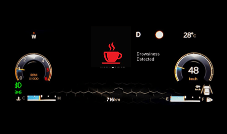 Meridian Longitude 6MT FWD Safety Features