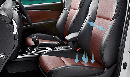 Toyota Legender - Impact Absorbing Structure with Pedestrian Protection Support